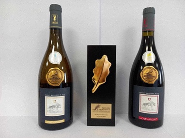 Acheter Vesicare - Illustration de boîtes de comprimés Vesicare et comparatif de prix